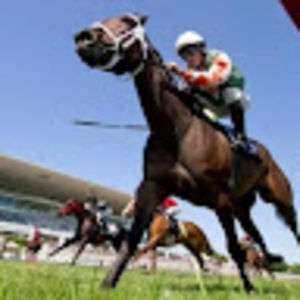 Meet your Posher, Dr chris